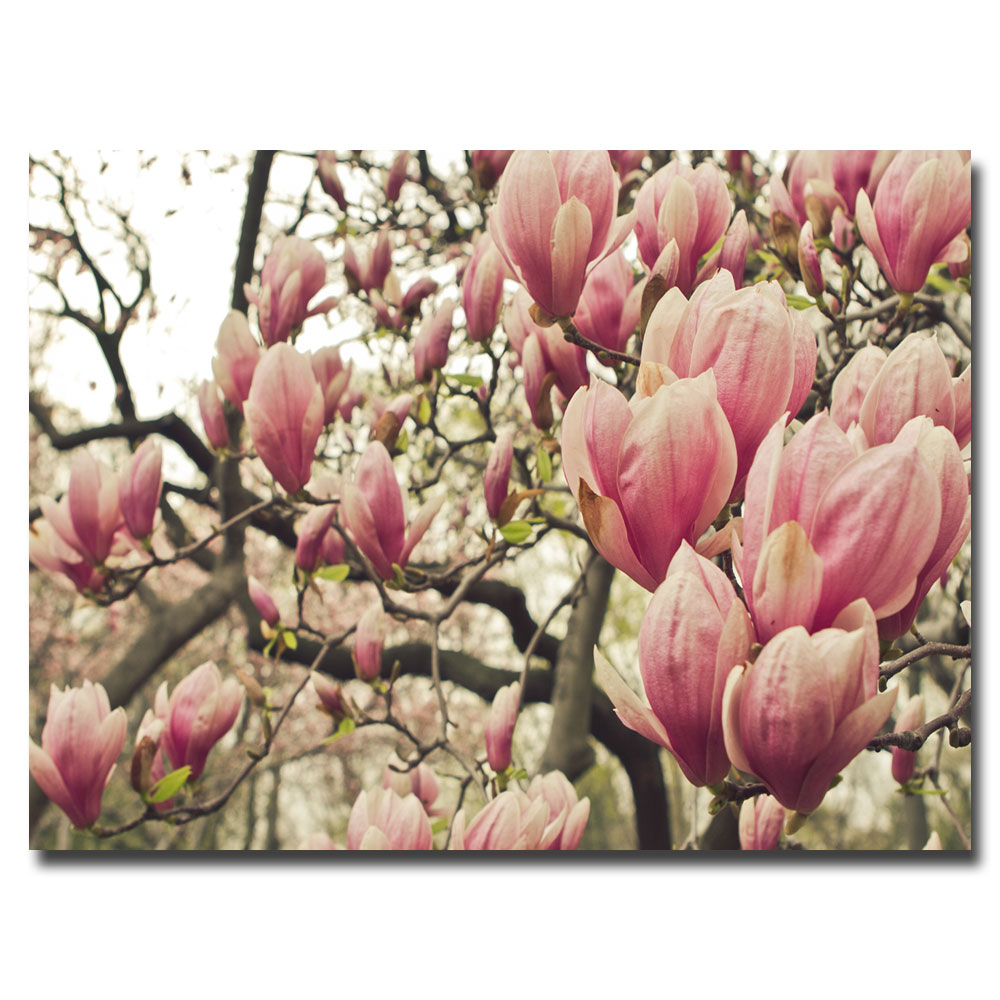 Trademark Global Ariane Moshayedi 'Steel Magnolias' Canvas Art