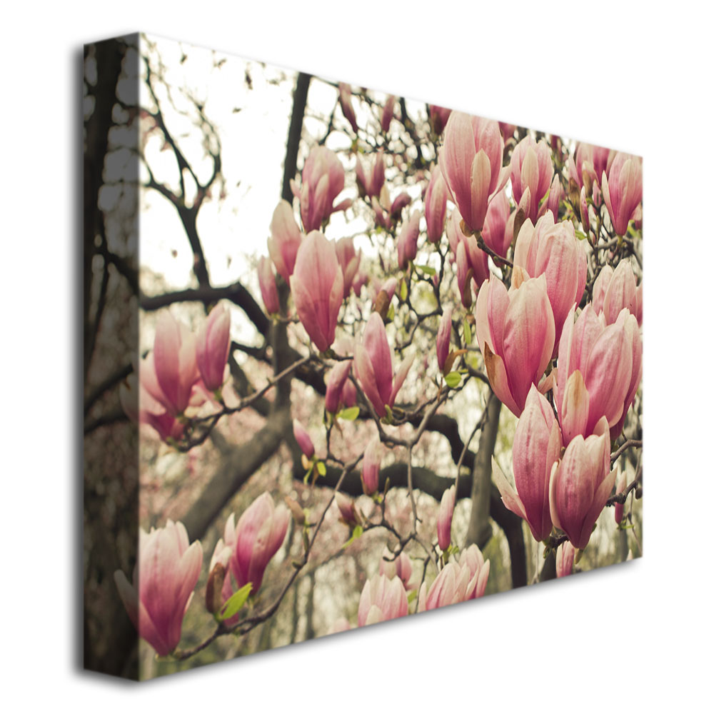 Trademark Global Ariane Moshayedi 'Steel Magnolias' Canvas Art