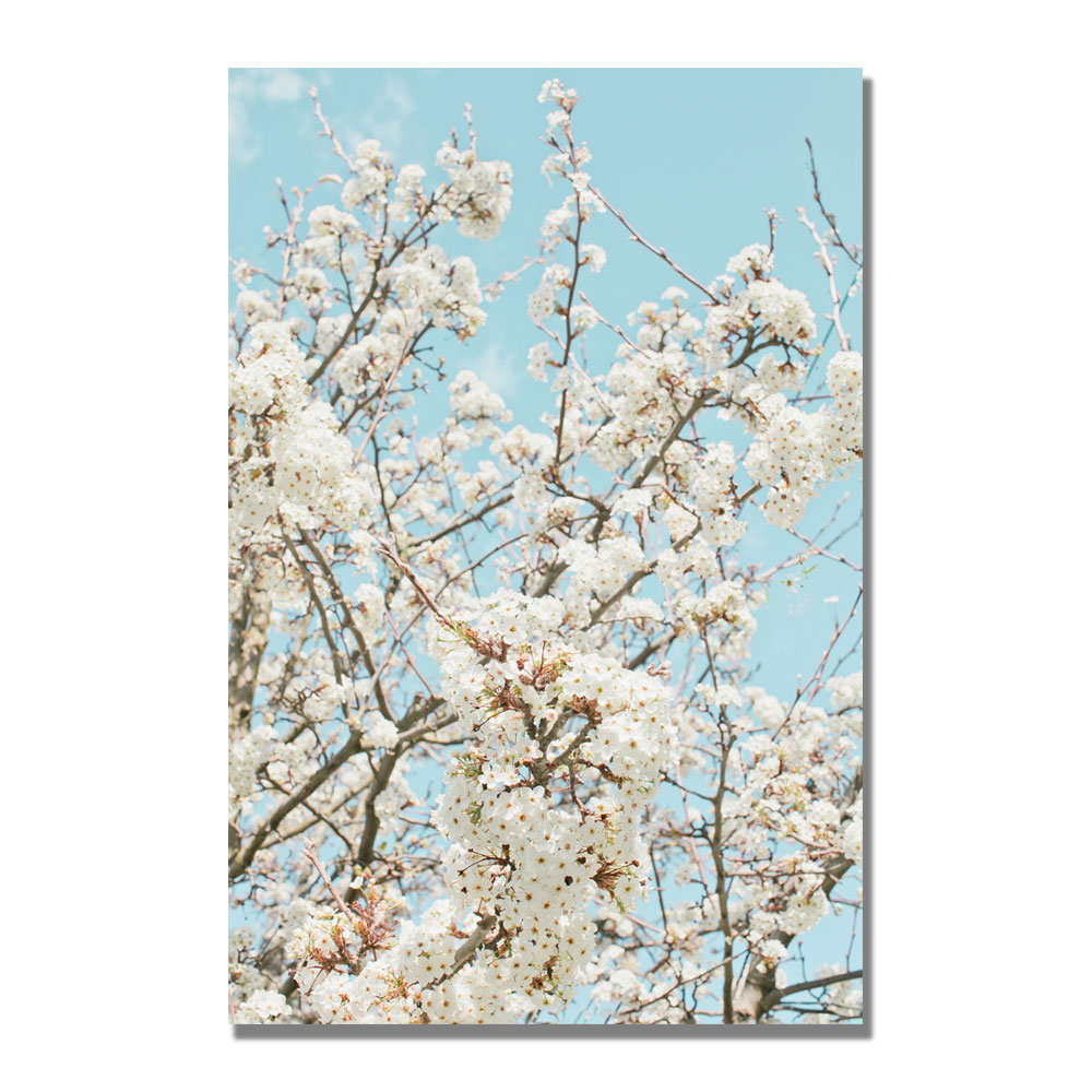 Trademark Global Ariane Moshayedi 'Blue Cherry Blossum' Canvas Art