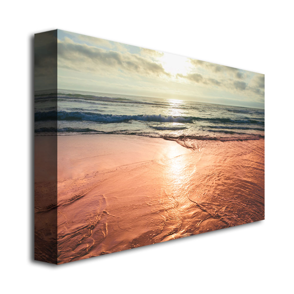 Trademark Global Ariane Moshayedi 'Sunset Beach Reflections' Canvas Art