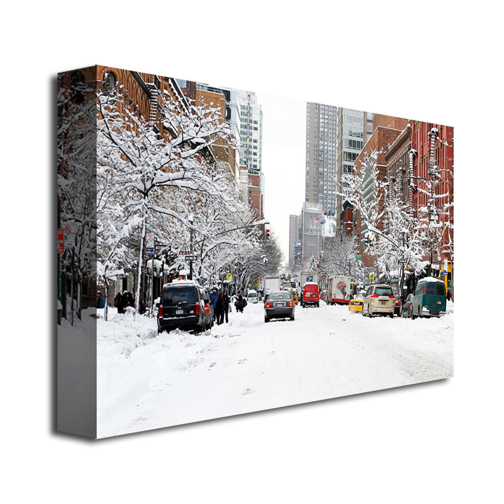 Trademark Global Ariane Moshayedi 'NYC Snow Day' Canvas Art