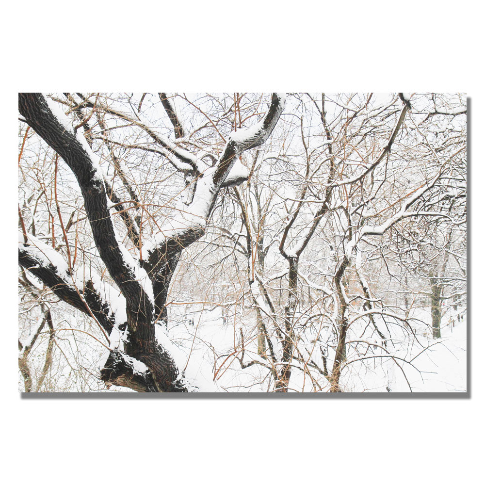 Trademark Global Ariane Moshayedi 'Snowy Trees' Canvas Art