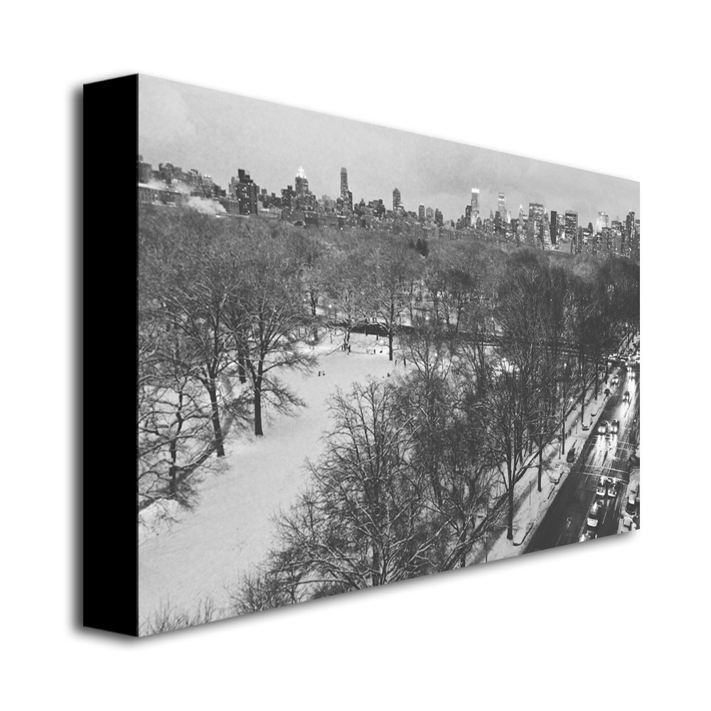 Trademark Global Ariane Moshayedi 'Snowy Park III' Canvas Art