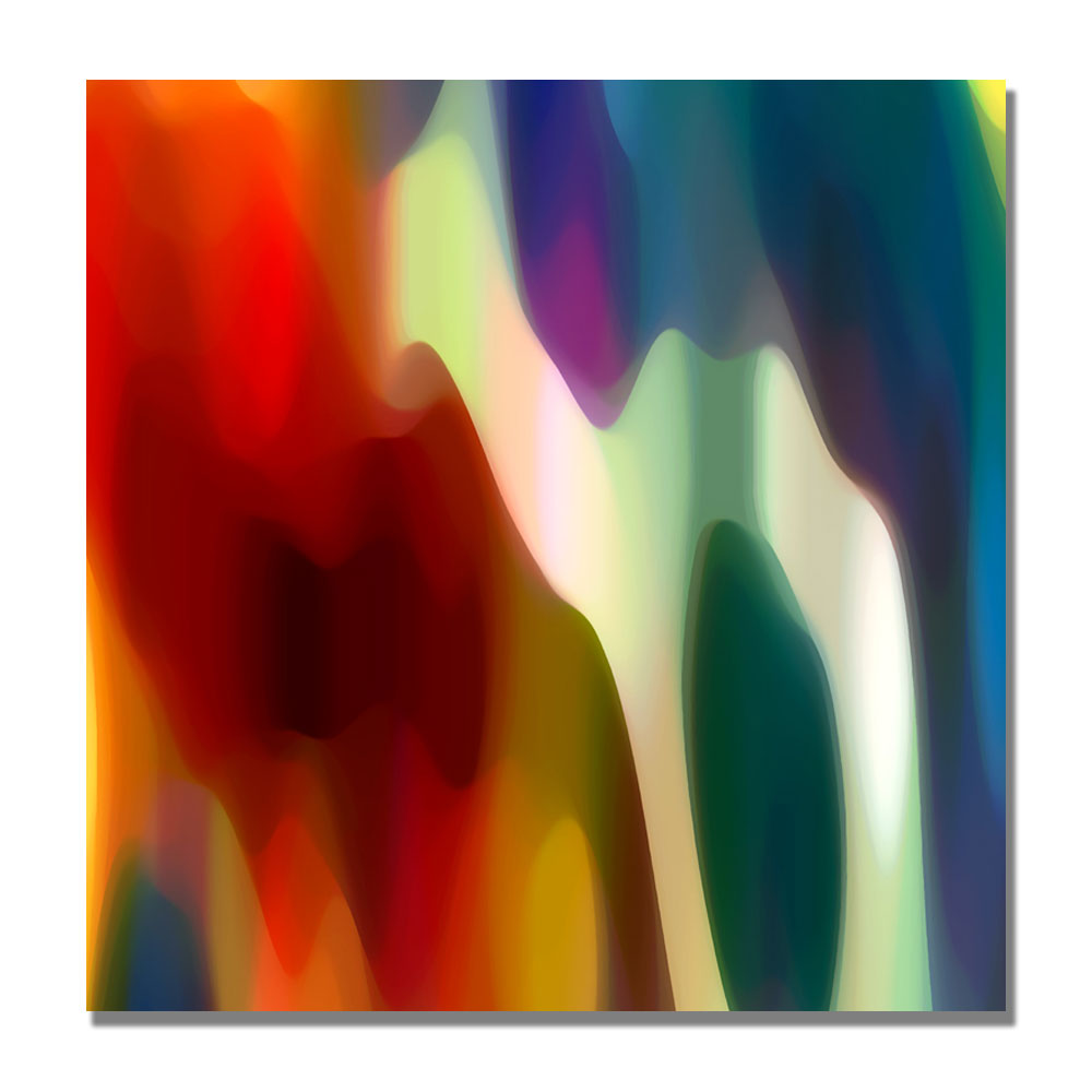 Trademark Global Amy Vangsgard 'Color Fury II' Canvas Art