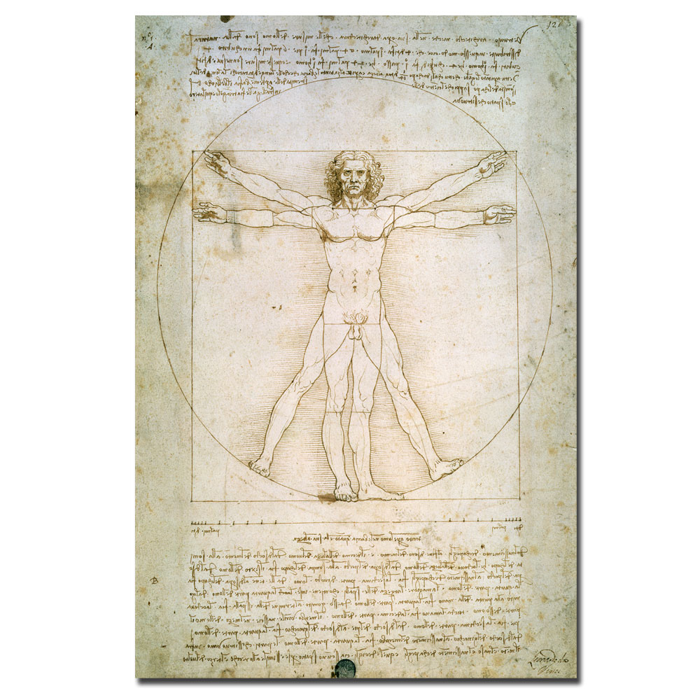 Trademark Global Leonardo da Vinci 'The Proportions of the Human Figure' Canvas Art
