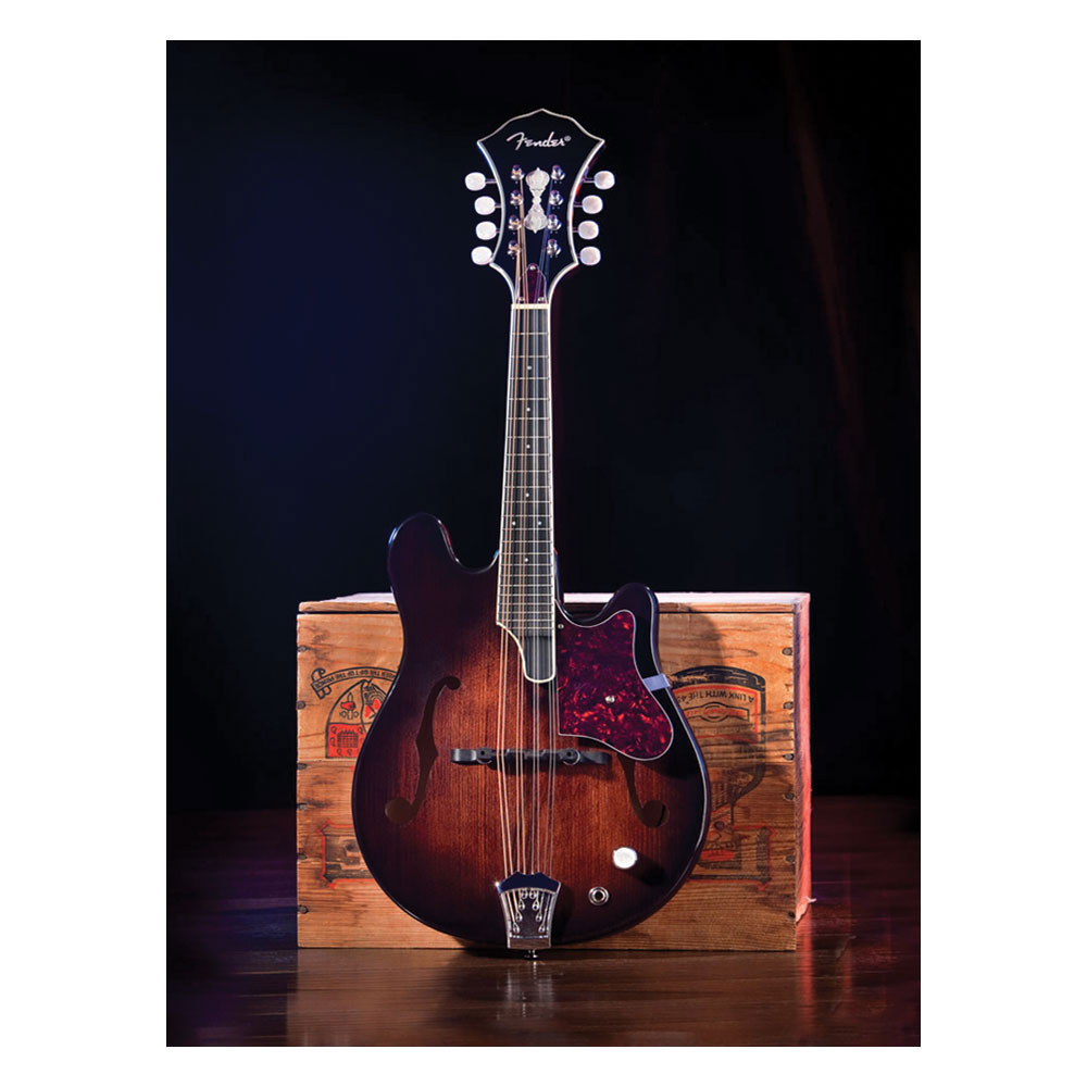 Trademark Global Fender 'Mandolin' Canvas Art