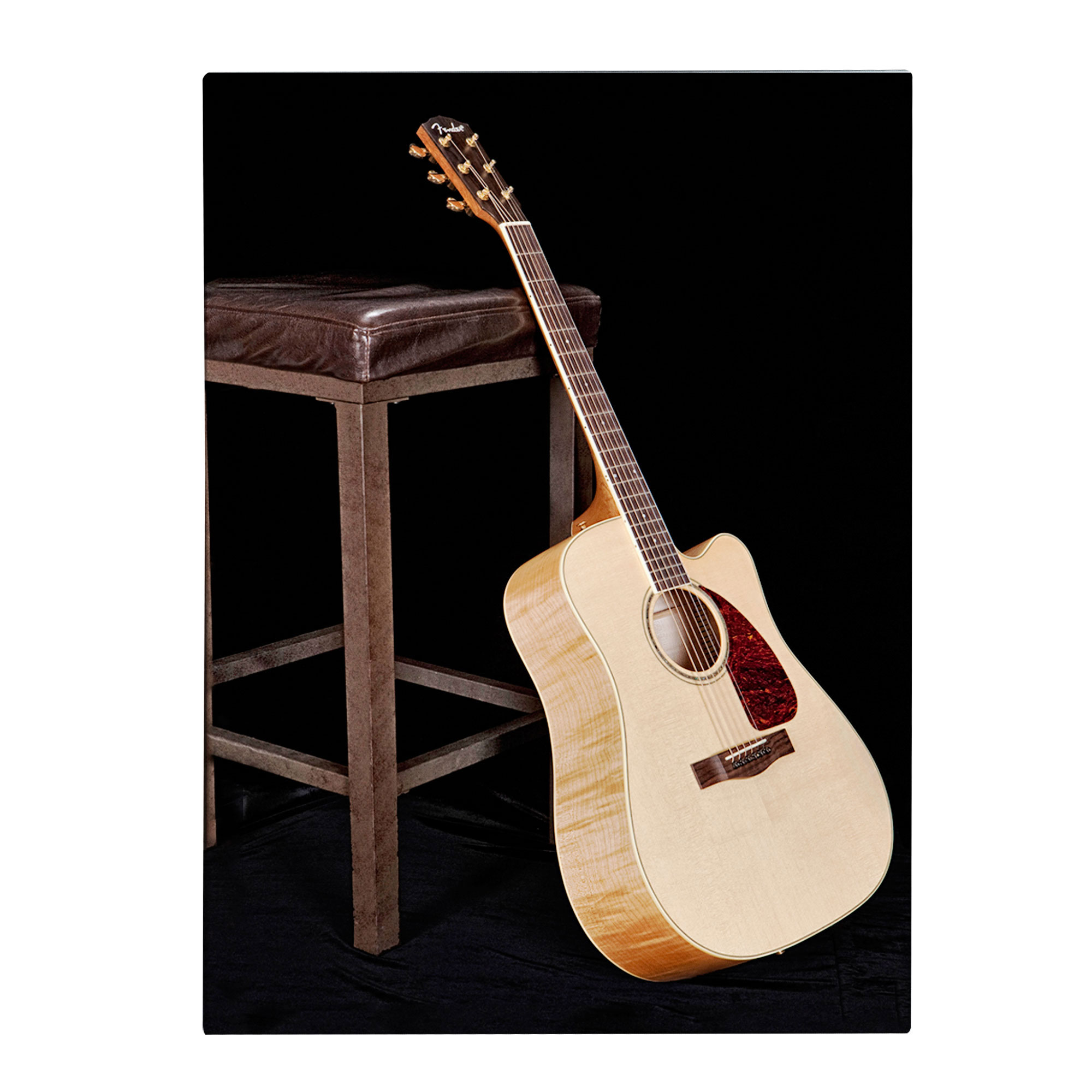 Trademark Global Fender 'Acoustic Jam' Canvas Art