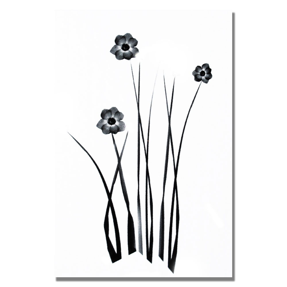 Trademark Global Kathie McCurdy 'White and Black Bunch' Canvas Art