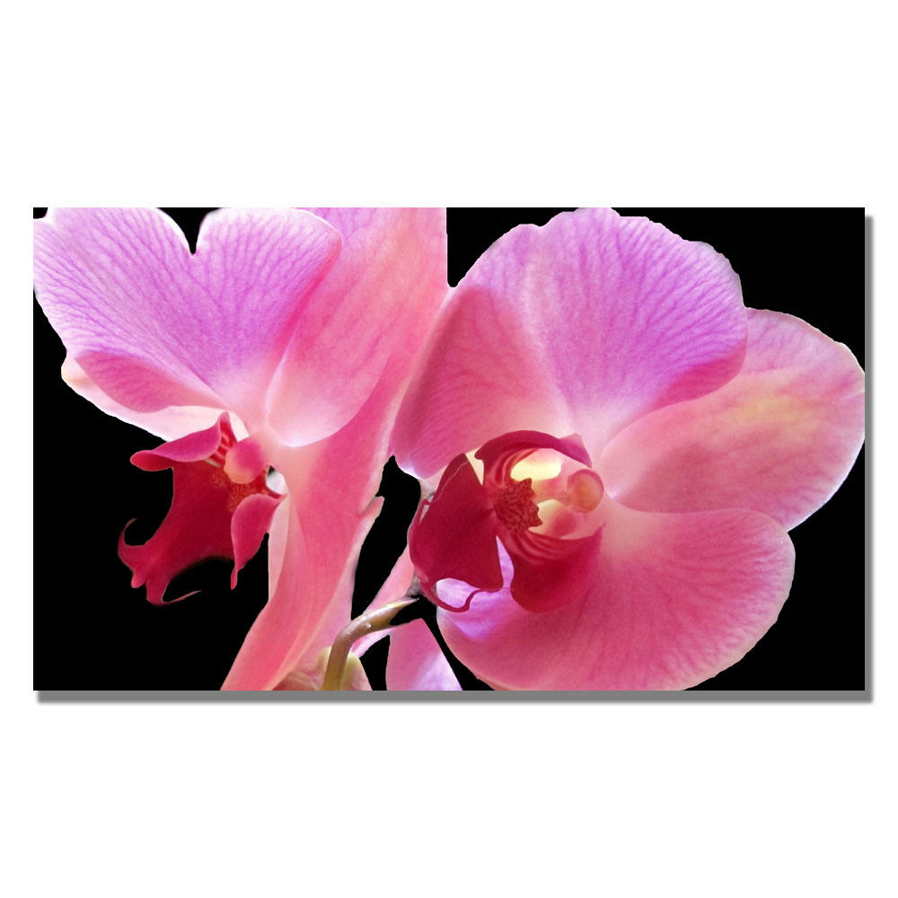 Trademark Global Kathie McCurdy 'Orchid' Canvas Art