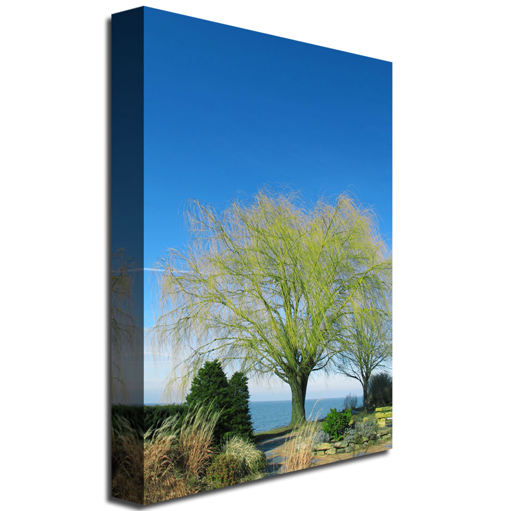 Trademark Global Kathie McCurdy 'Wind to the Willow' Canvas Art