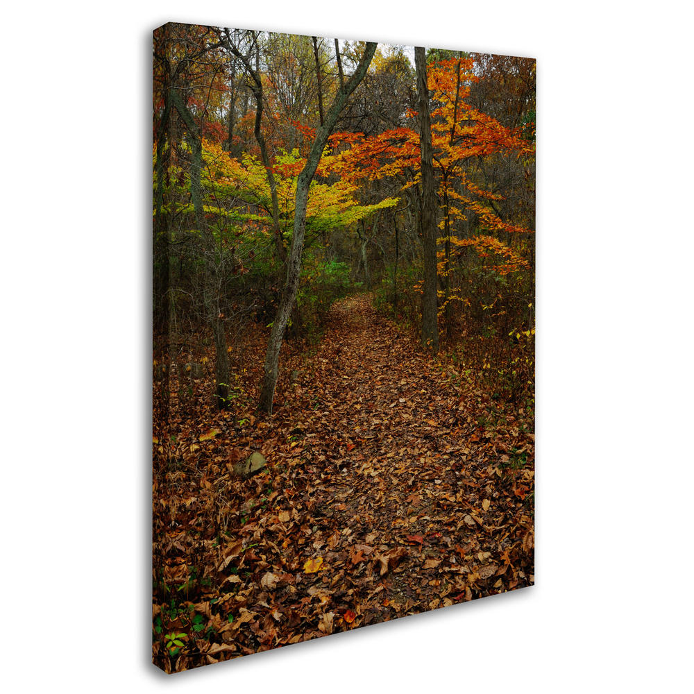 Trademark Global Kurt Shaffer 'Late Autumn Hike' Canvas Art