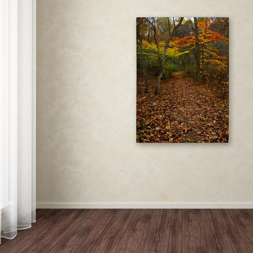Trademark Global Kurt Shaffer 'Late Autumn Hike' Canvas Art