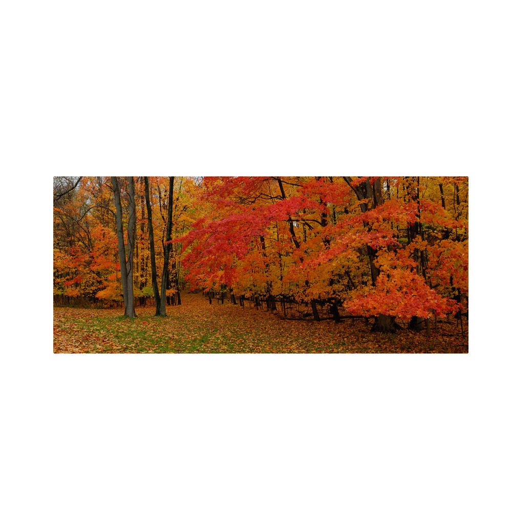 Trademark Global Kurt Shaffer 'Ohio Autumn' Canvas Art