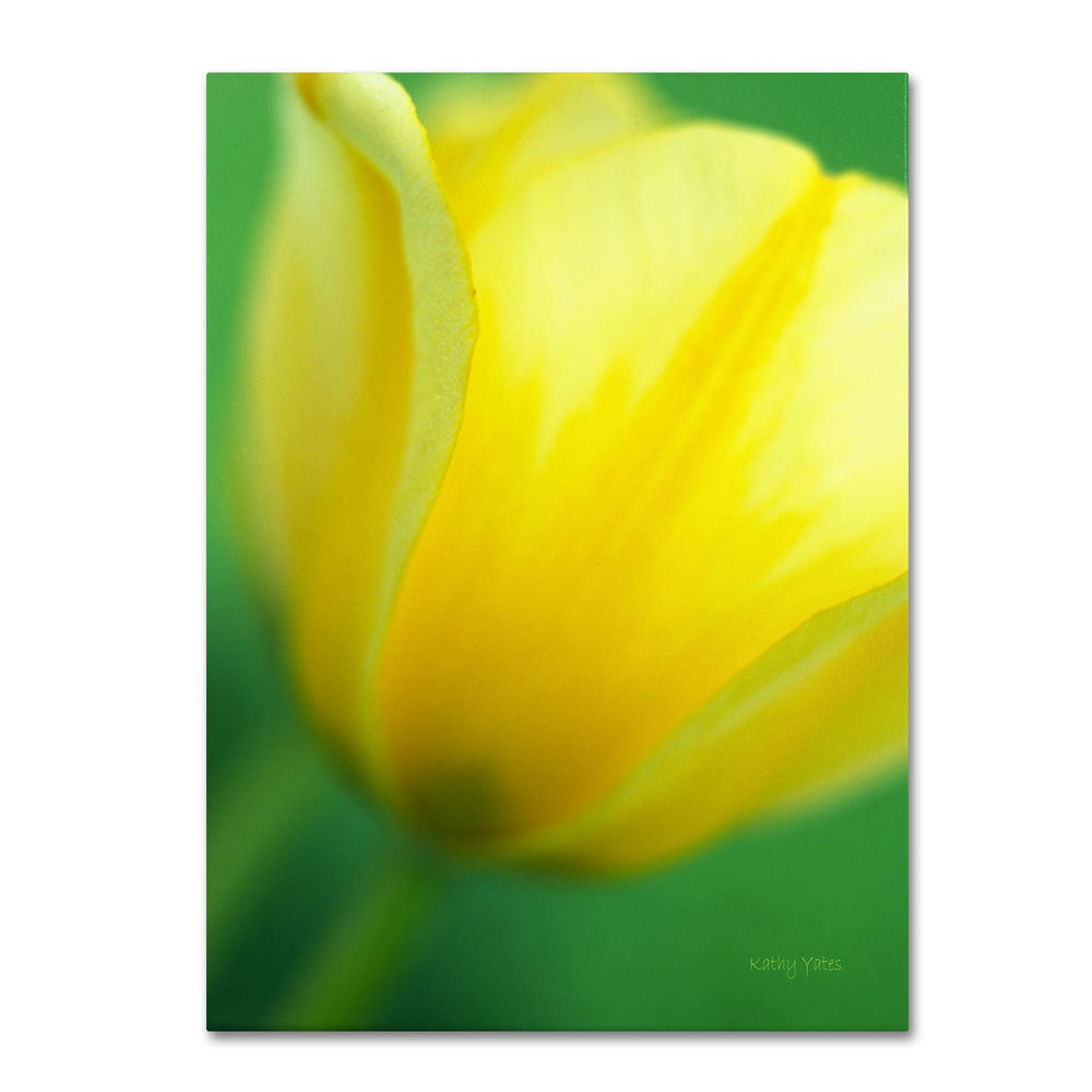 Trademark Global Kathy Yates 'Hint of a Tulip' Canvas Art