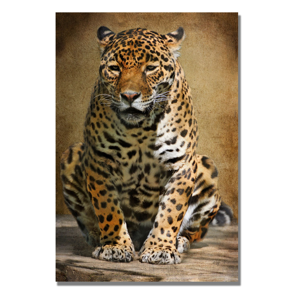 Trademark Global Lois Bryan 'Cheetah' Canvas Art