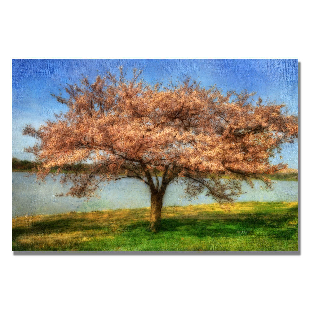 Trademark Global Lois Bryan 'Cherry Tree' Canvas Art