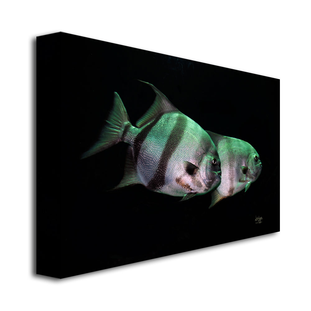 Trademark Global Lois Bryan 'Fish in the Dark' Canvas Art