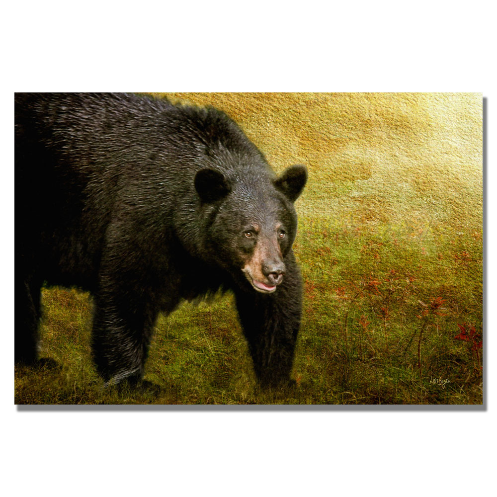 Trademark Global Lois Bryan 'Big Black Bear' Canvas Art