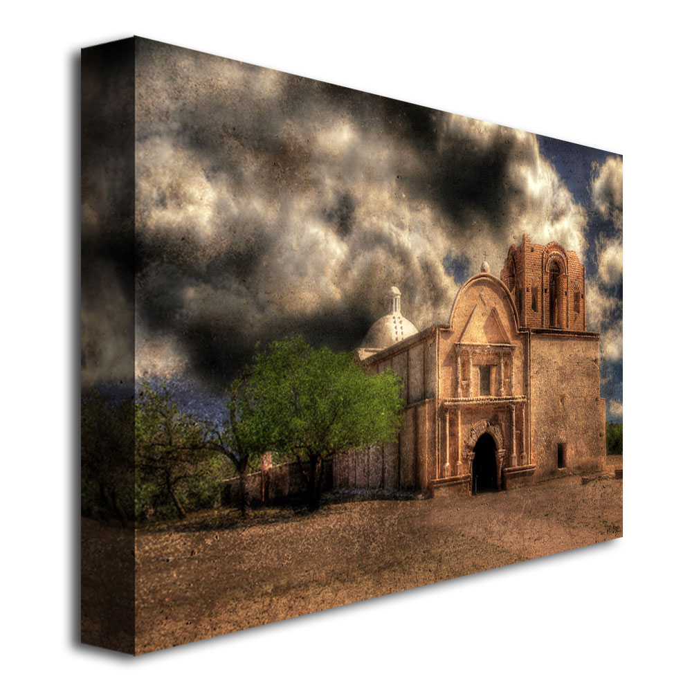 Trademark Global Lois Bryan 'Cathedral' Canvas Art