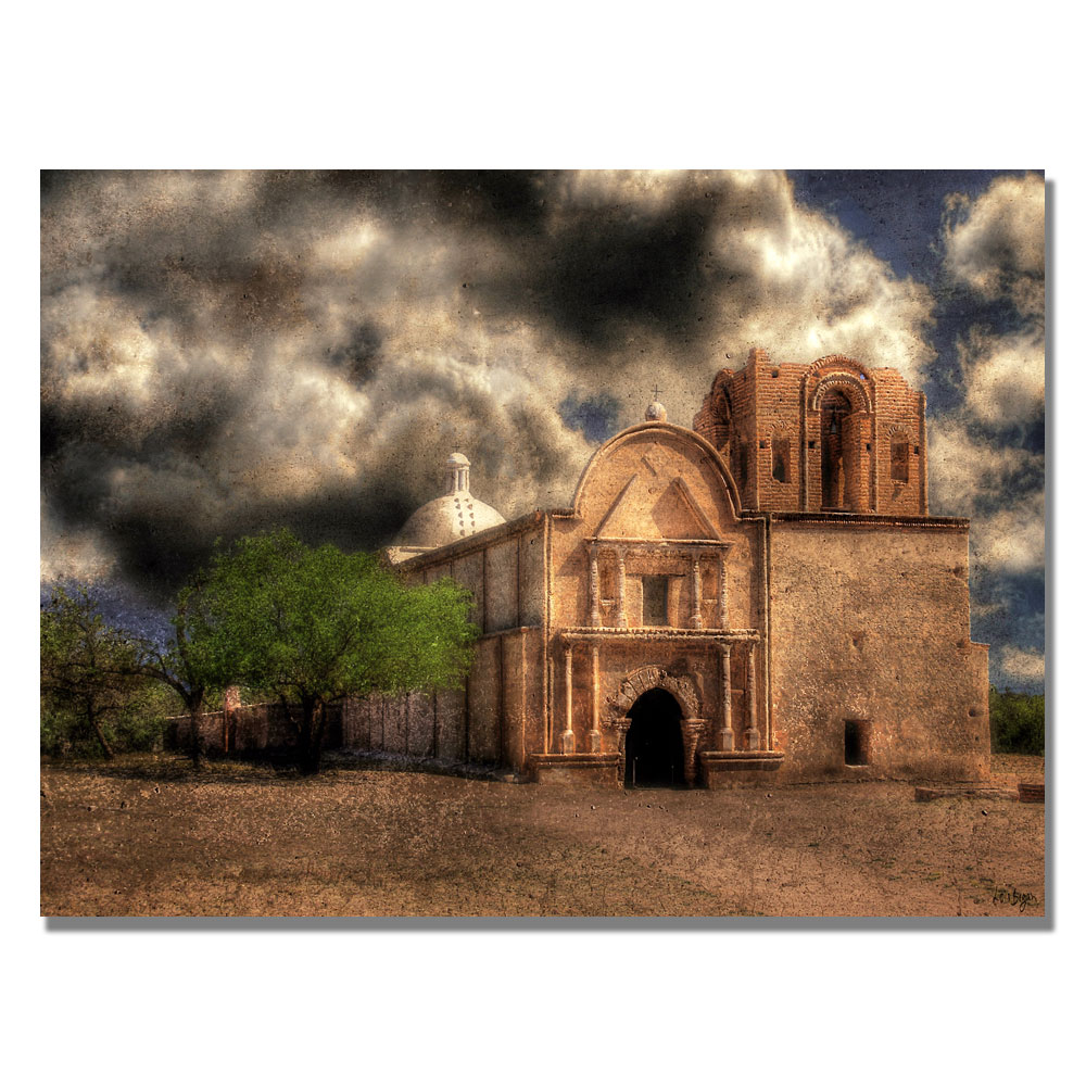 Trademark Global Lois Bryan 'Cathedral' Canvas Art