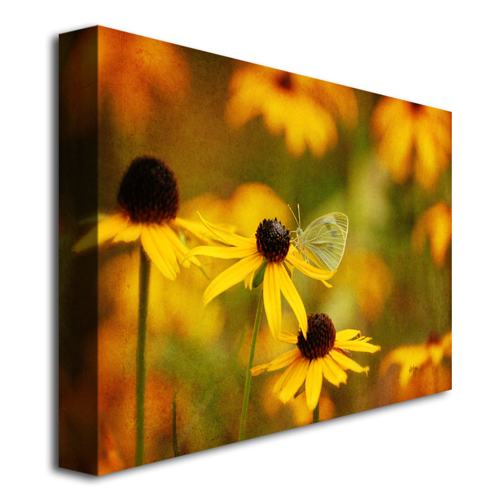 Trademark Global Lois Bryan 'Butterfly on a Flower' Canvas Art