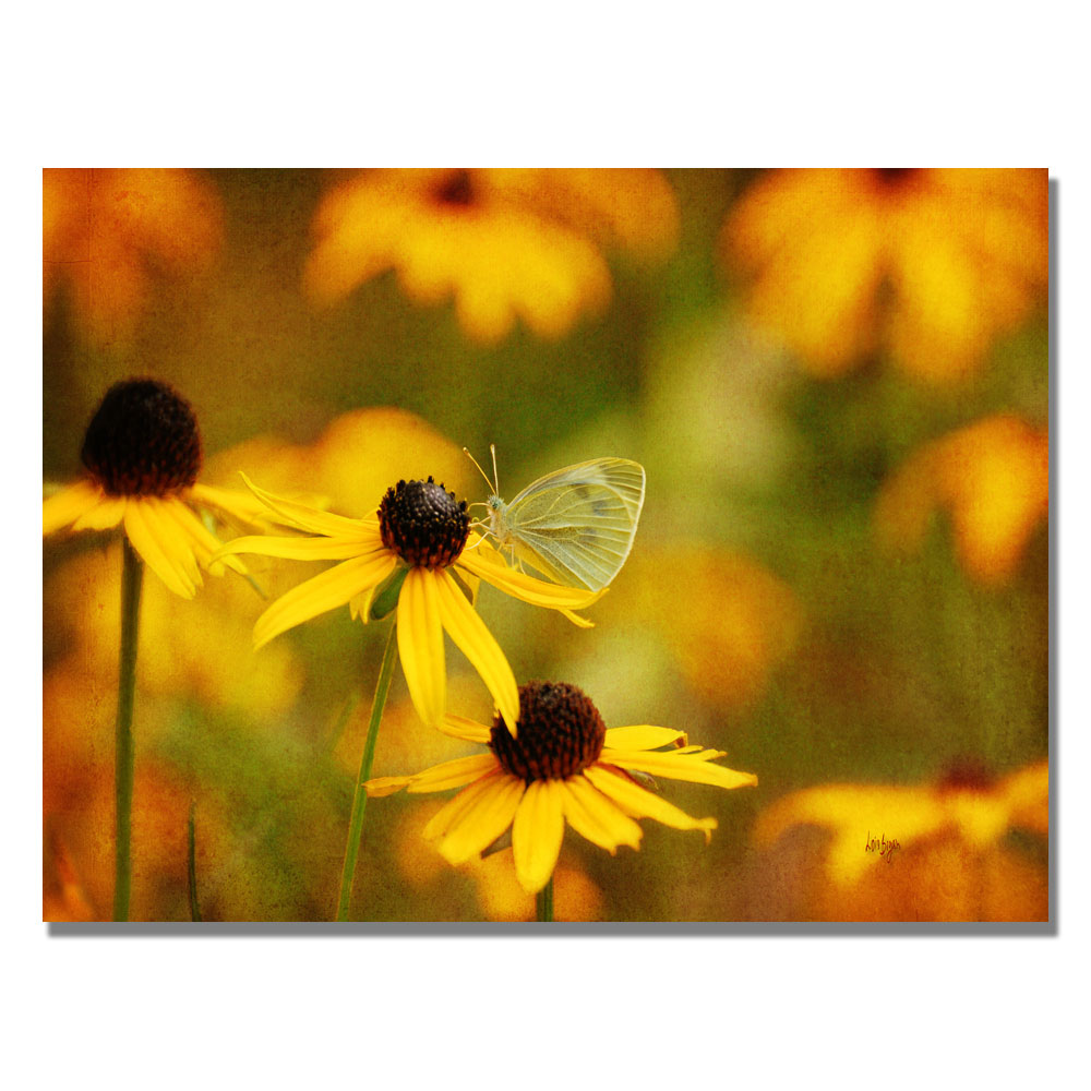 Trademark Global Lois Bryan 'Butterfly on a Flower' Canvas Art