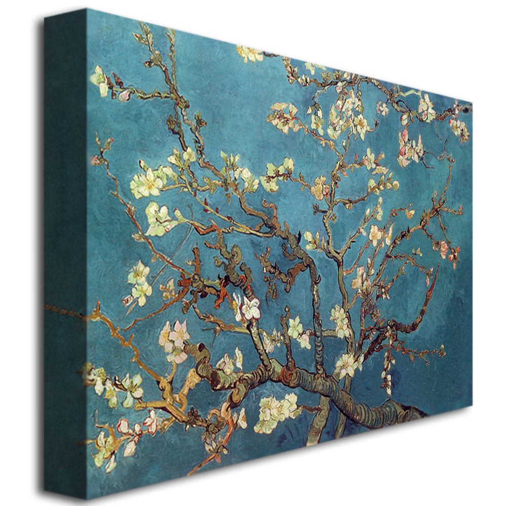 Trademark Global Vincent van Gogh 'Almond Blossoms' Canvas Art