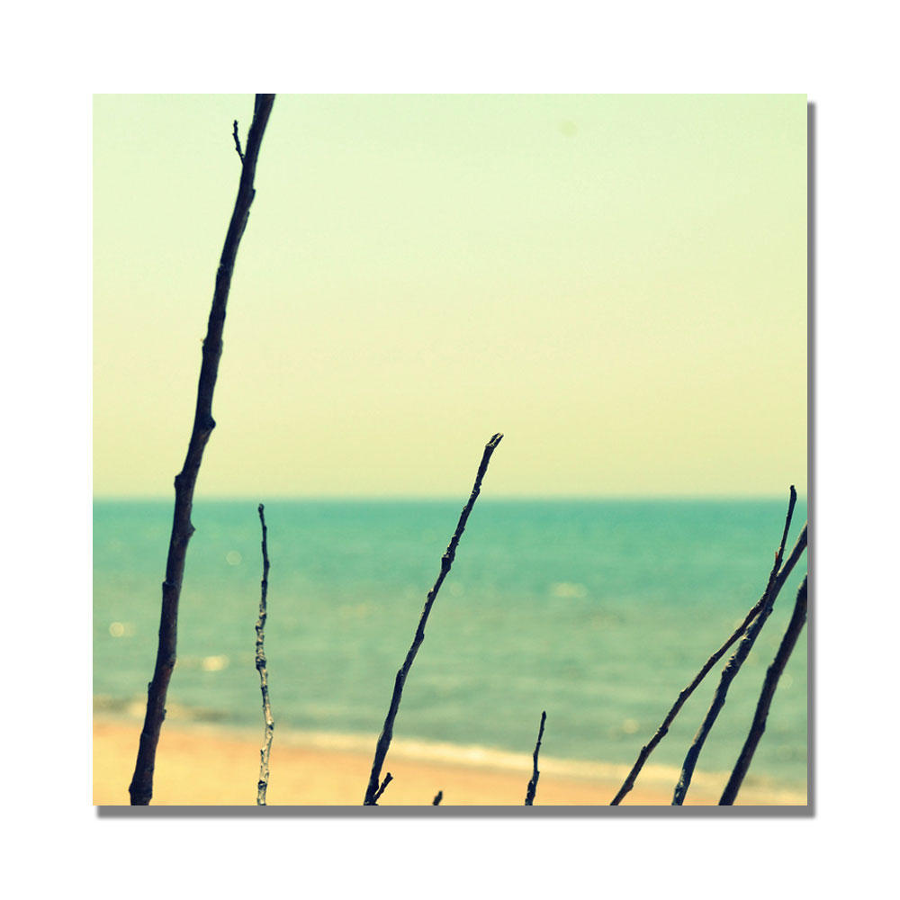 Trademark Global Michelle Calkins 'Branches on the Beach' Canvas Art