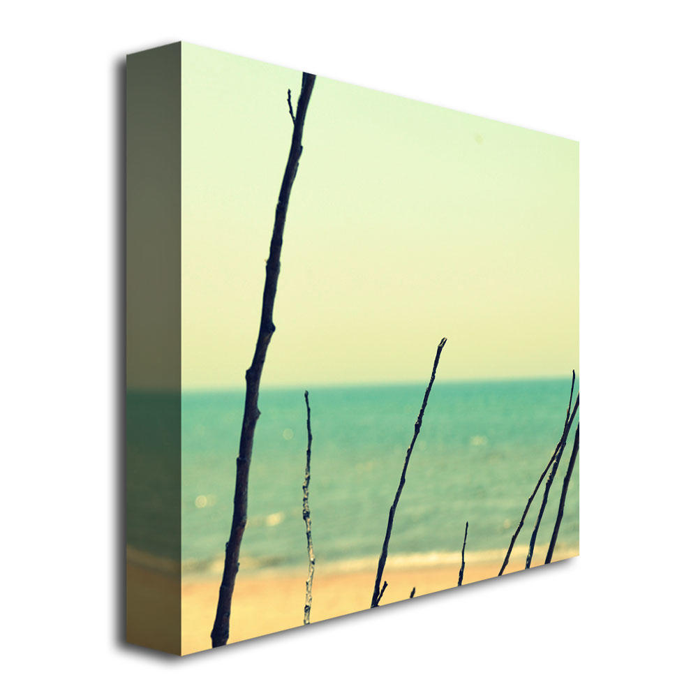 Trademark Global Michelle Calkins 'Branches on the Beach' Canvas Art