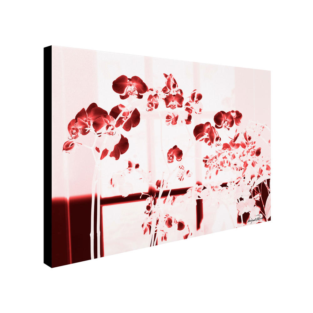Trademark Global Miguel Paredes 'Red Orchids' 24" x 32" Canvas Art