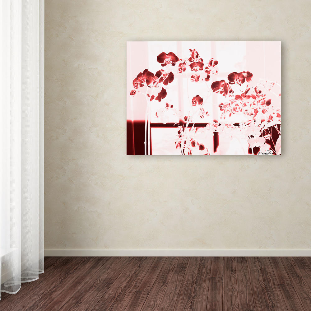 Trademark Global Miguel Paredes 'Red Orchids' Canvas Art