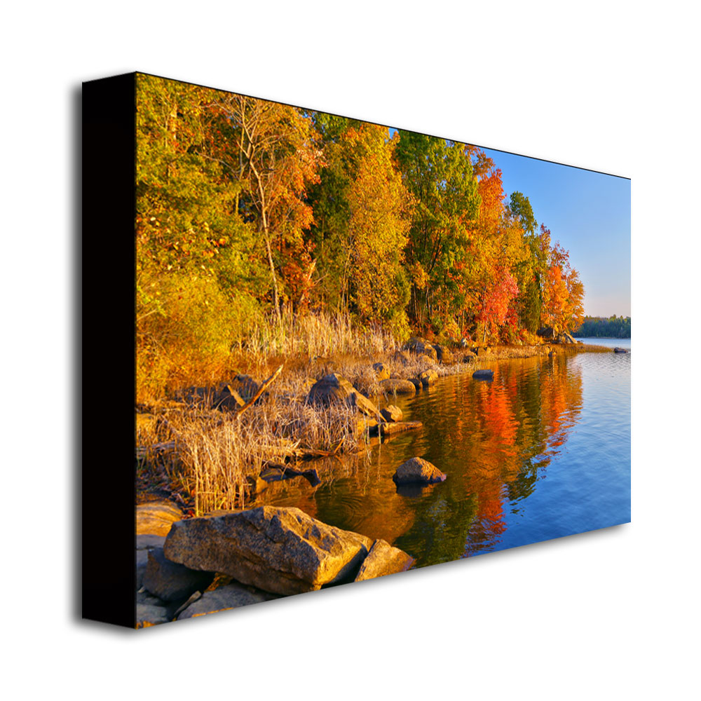 Trademark Global CATeyes 'Early Morning' Canvas Art