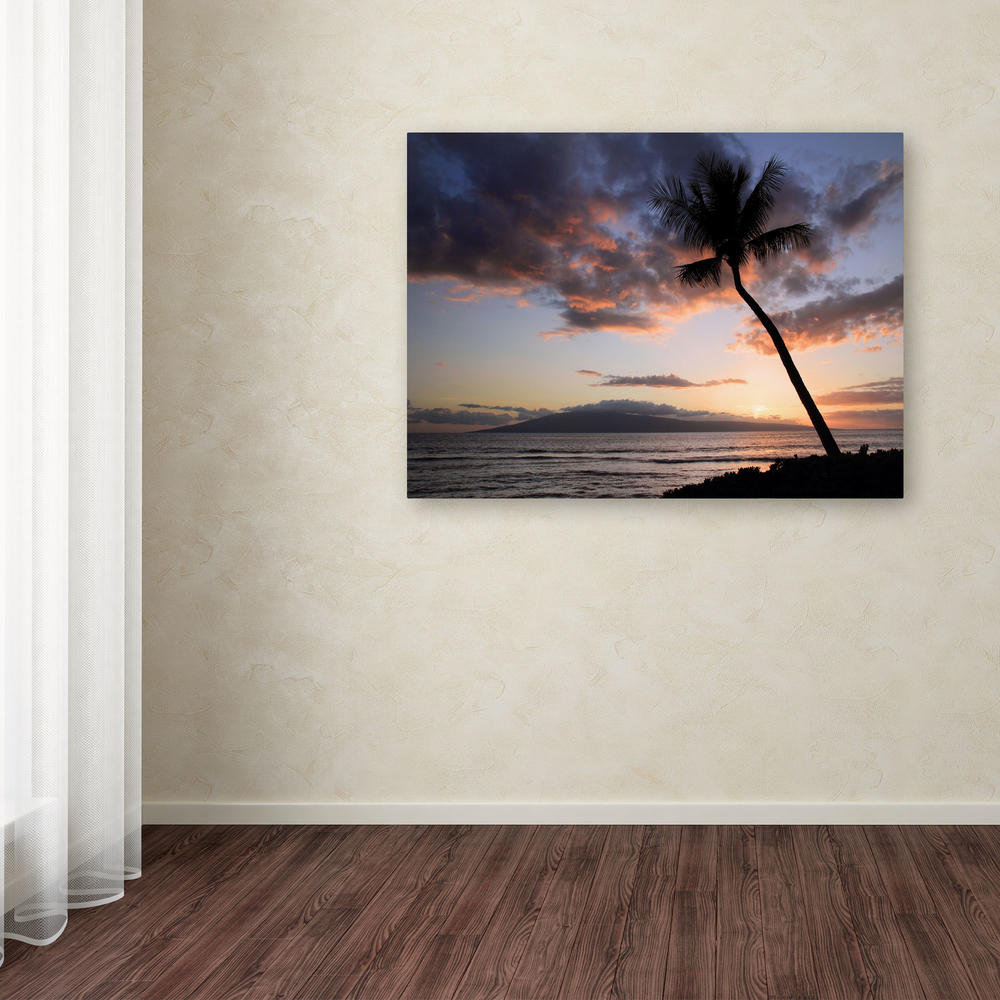 Trademark Global Pierre Leclerc 'Palm Tree Maui' 16" x 24" Canvas Art