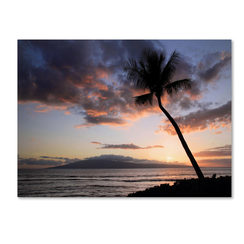 Trademark Global Pierre Leclerc 'Palm Tree Maui' 16" x 24" Canvas Art