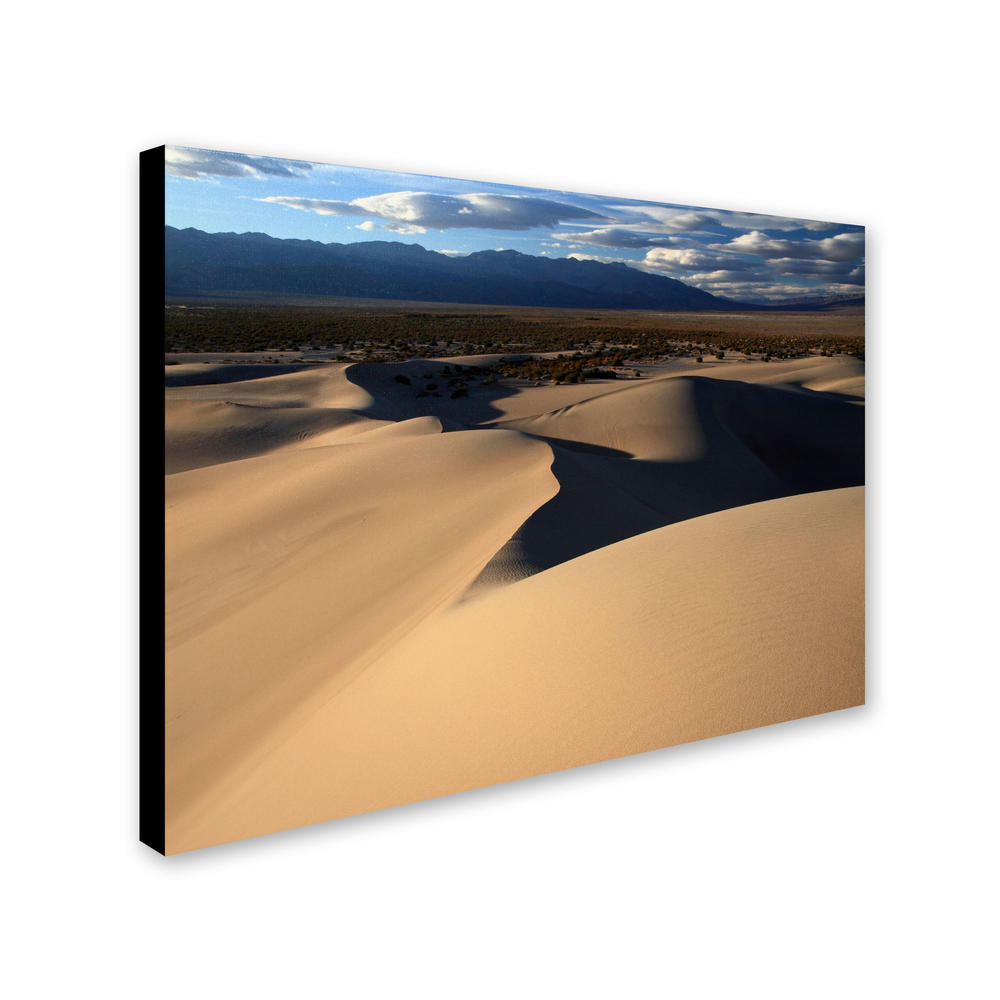Trademark Global Pierre Leclerc 'Sand Dunes' 30" x 47" Canvas Art