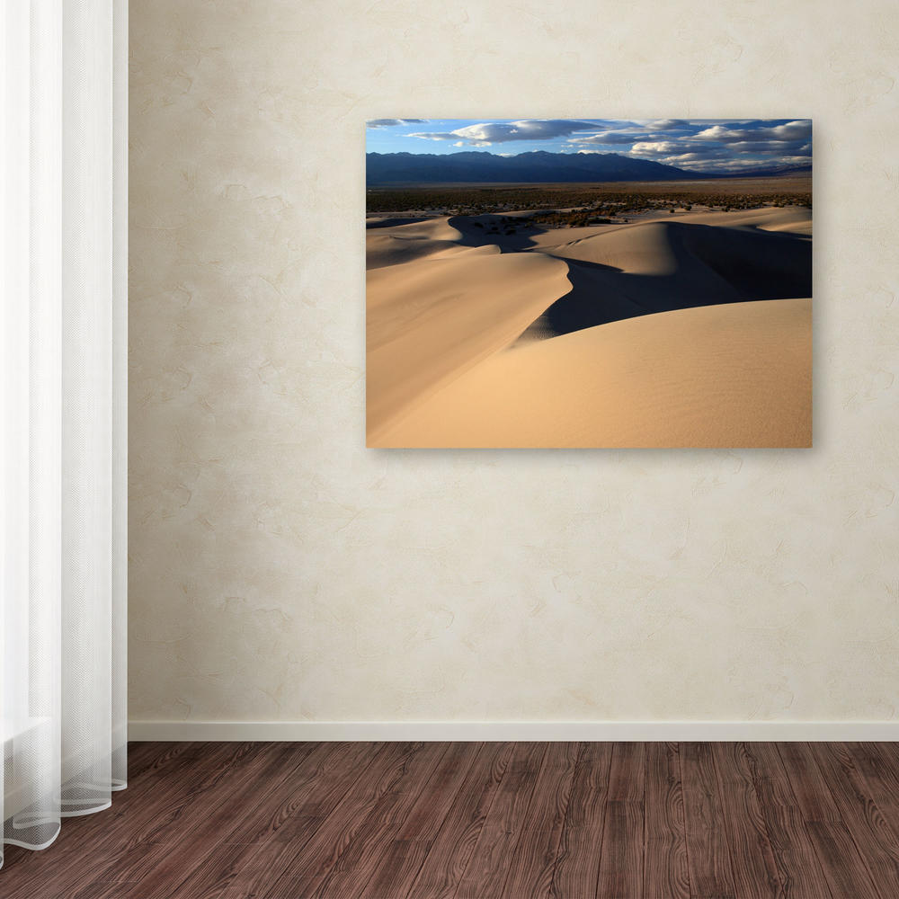 Trademark Global Pierre Leclerc 'Sand Dunes' 22" x 32" Canvas Art