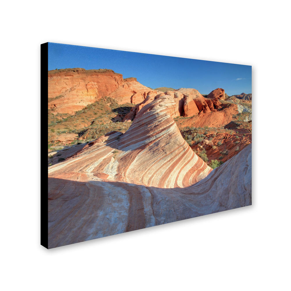 Trademark Global Pierre Leclerc 'Valley of Fire Wave' 30" x 47" Canvas Art