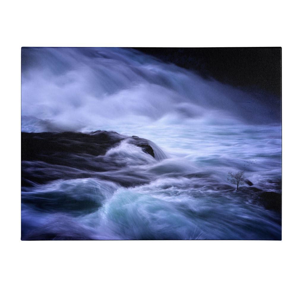 Trademark Global Philippe Sainte-Laudy 'Distractions' Canvas Art