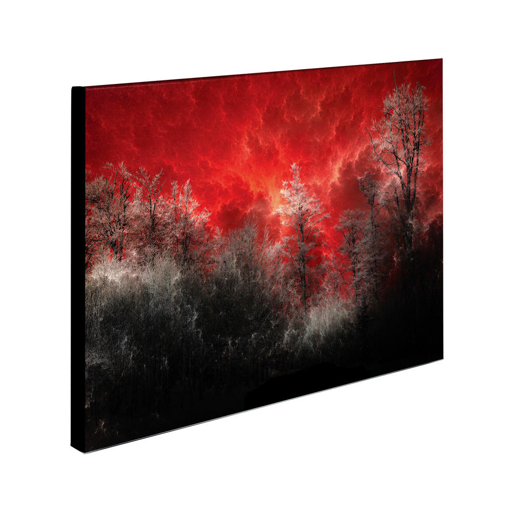 Trademark Global Philippe Sainte-Laudy 'Hot and Cold' Canvas Art