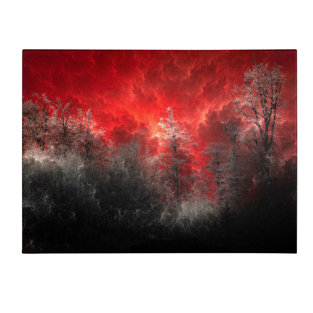 Trademark Global Philippe Sainte-Laudy 'Hot and Cold' Canvas Art