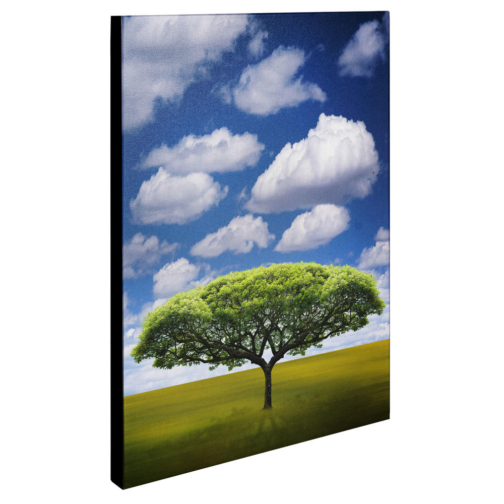Trademark Global Philippe Sainte-Laudy 'Improbable Open Space' Canvas Art
