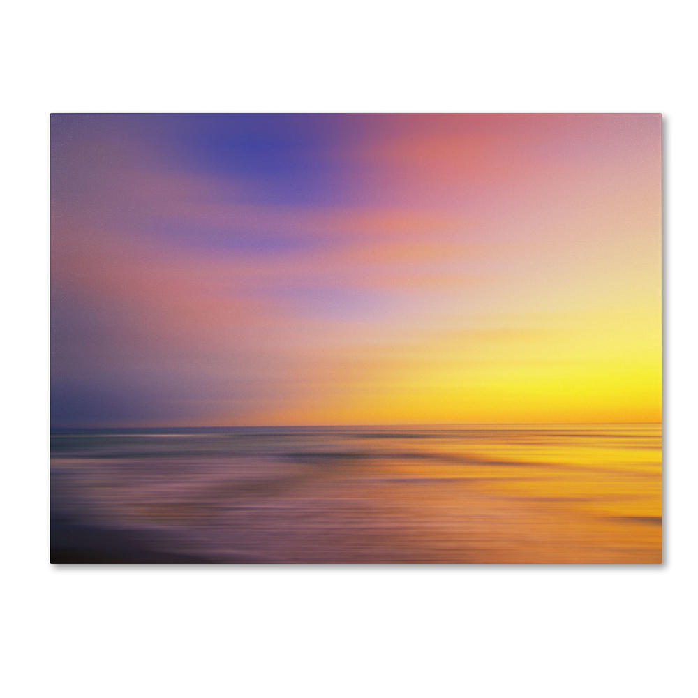 Trademark Global Philippe Sainte-Laudy 'Metallic Sunset' Canvas Art