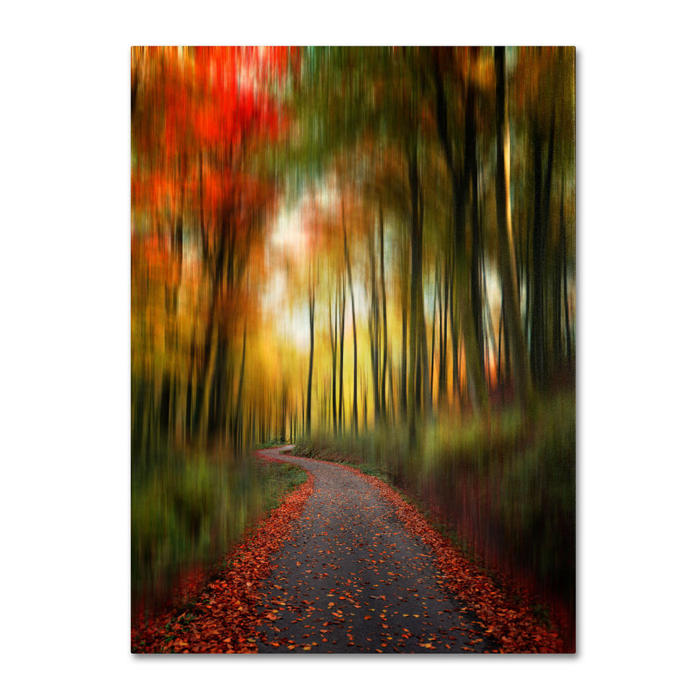 Trademark Global Philippe Sainte-Laudy 'The Lost Path' Canvas Art