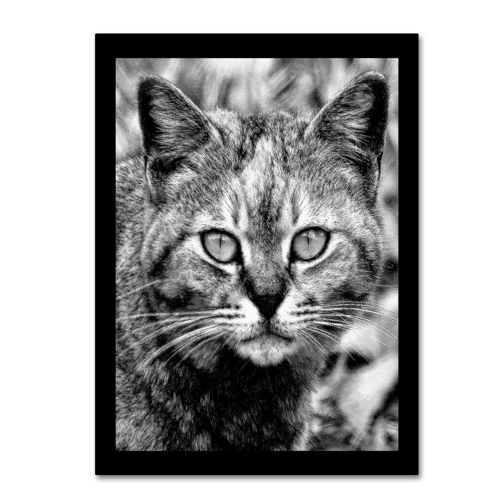 Trademark Global Patty Tuggle 'Black & White Pretty Kitty' 26" x 32" Canvas Art