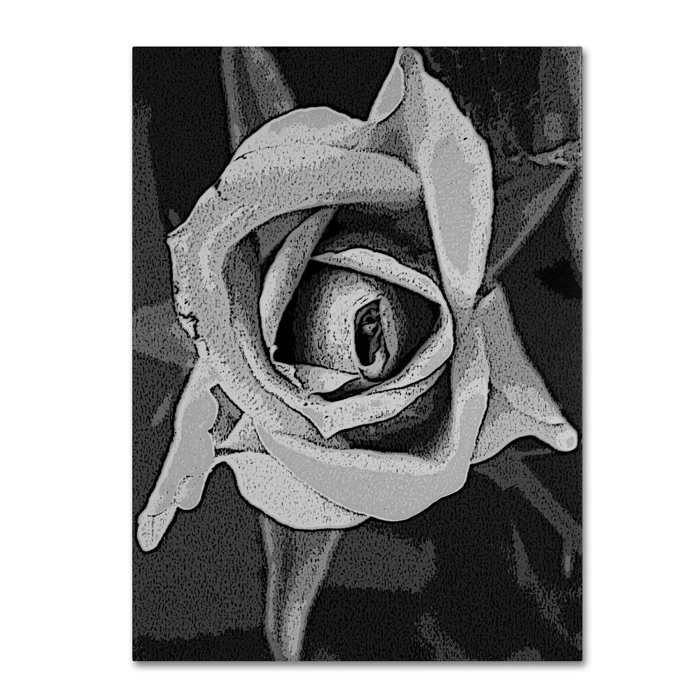 Trademark Global Patty Tuggle 'Black & White Rose' 26" x 32" Canvas Art
