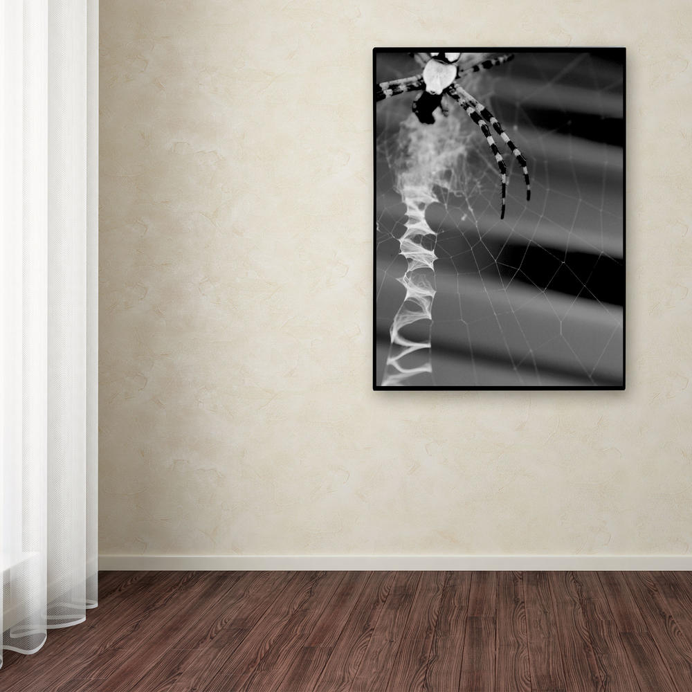 Trademark Global Patty Tuggle 'Black & White Spider & Web' 14" x 19" Canvas Art