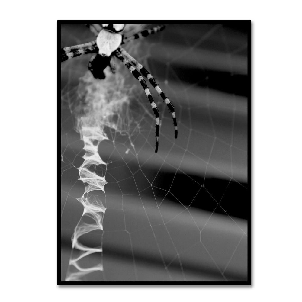 Trademark Global Patty Tuggle 'Black & White Spider & Web' 24" x 32" Canvas Art