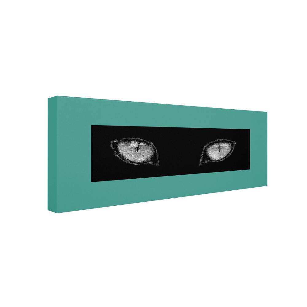 Trademark Global Patty Tuggle 'Cat Eyes' 24" x 47" Canvas Art