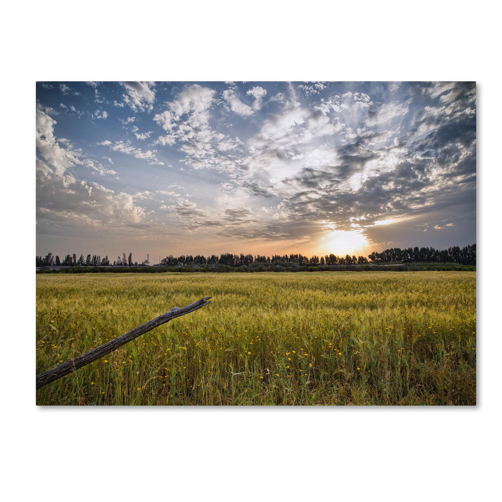 Trademark Global Giuseppe Torre 'End of Day' 16 x 24 Canvas Art