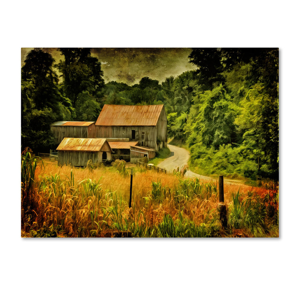 Trademark Global Lois Bryan 'Country Road In Summer' Canvas Art